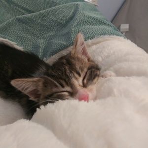 Meet your Posher, Mariam